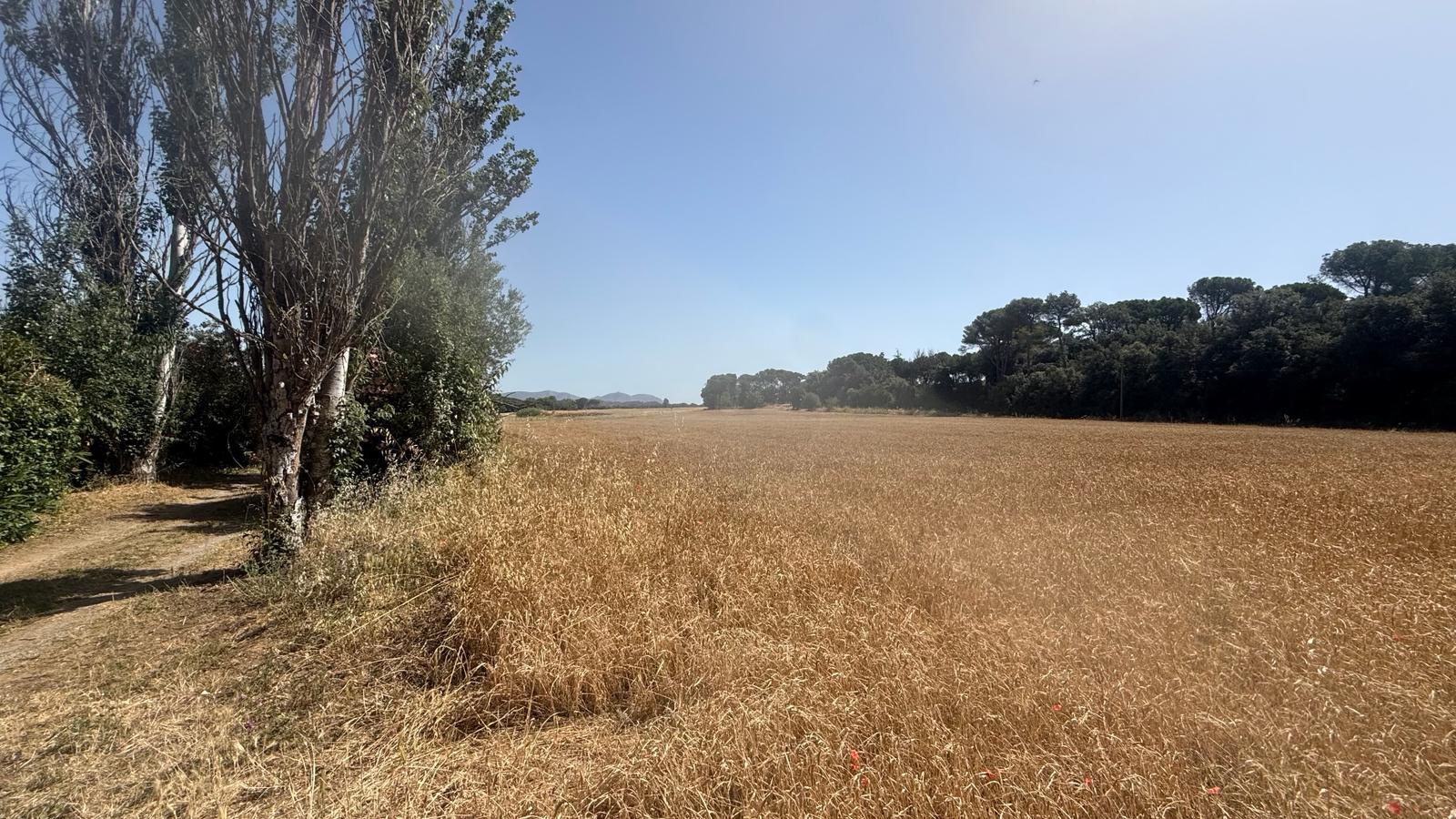 EXCELENTE CASA SOLARIEGA SITUADA EN FORALLAC, TRIÁNGULO DE ORO, BAIX EMPORDÀ