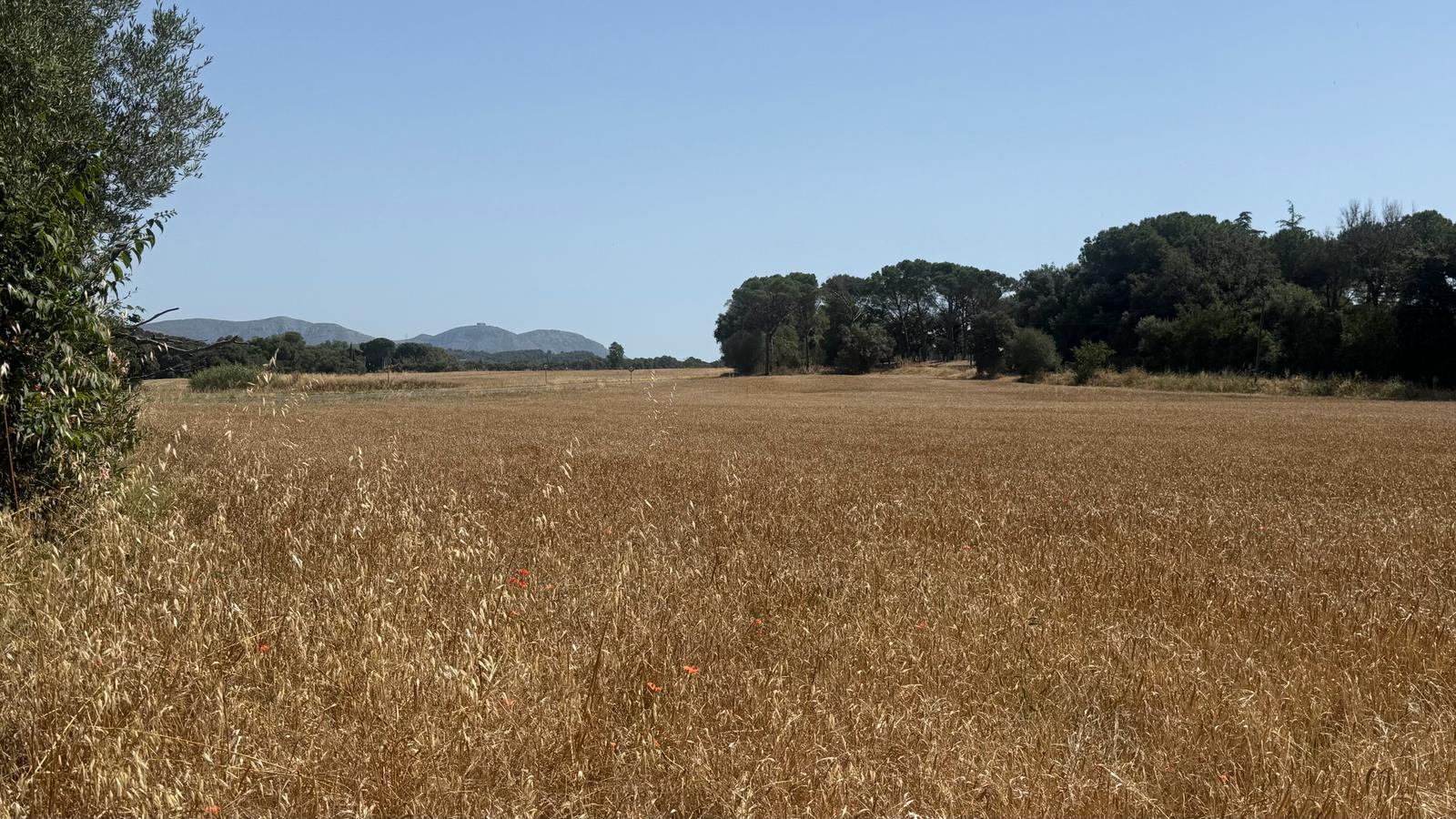 EXCELENTE CASA SOLARIEGA SITUADA EN FORALLAC, TRIÁNGULO DE ORO, BAIX EMPORDÀ