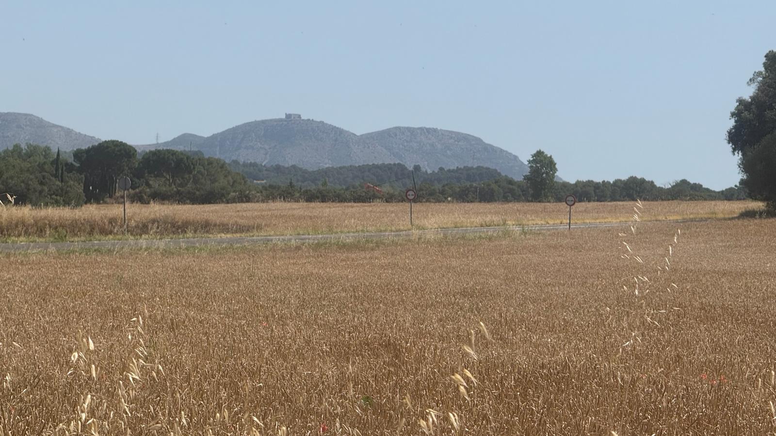 EXCELENTE CASA SOLARIEGA SITUADA EN FORALLAC, TRIÁNGULO DE ORO, BAIX EMPORDÀ
