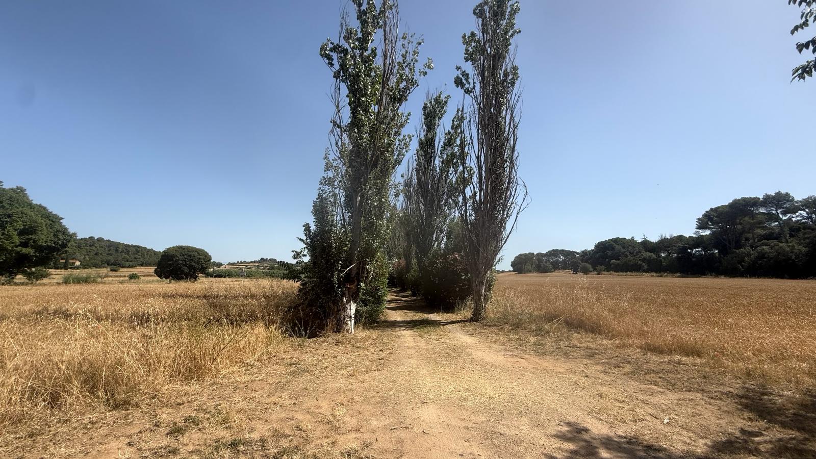 EXCELENTE CASA SOLARIEGA SITUADA EN FORALLAC, TRIÁNGULO DE ORO, BAIX EMPORDÀ