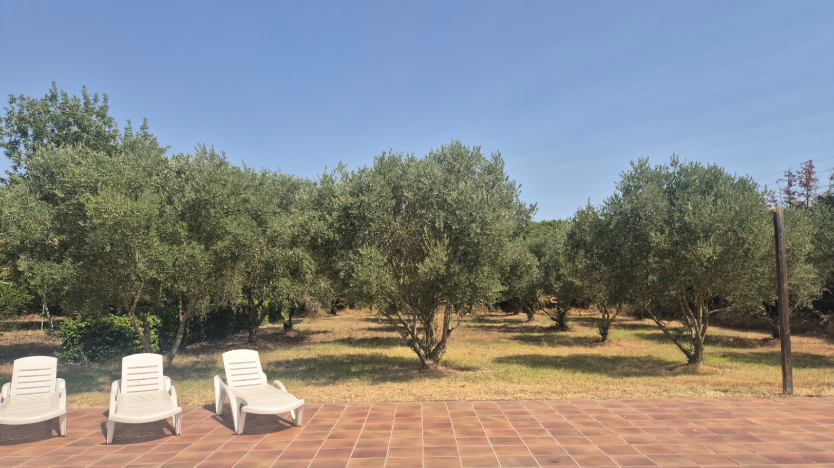 Venta de Masía en Verges, Baix Empordà, Girona de 600 m².