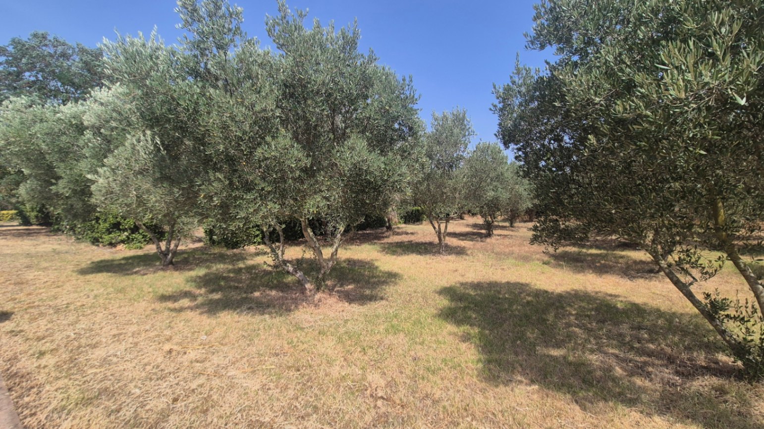 Venta de Masía en Verges, Baix Empordà, Girona de 600 m².