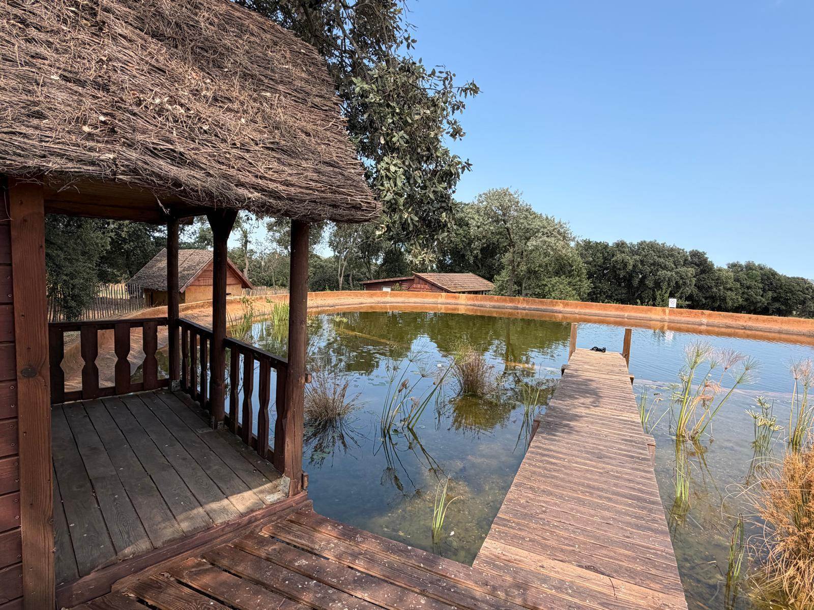 FINCA DE 71.160 M2 CON CASA DE CAMPO EN VENTA SITUADA EN RUPIÀ