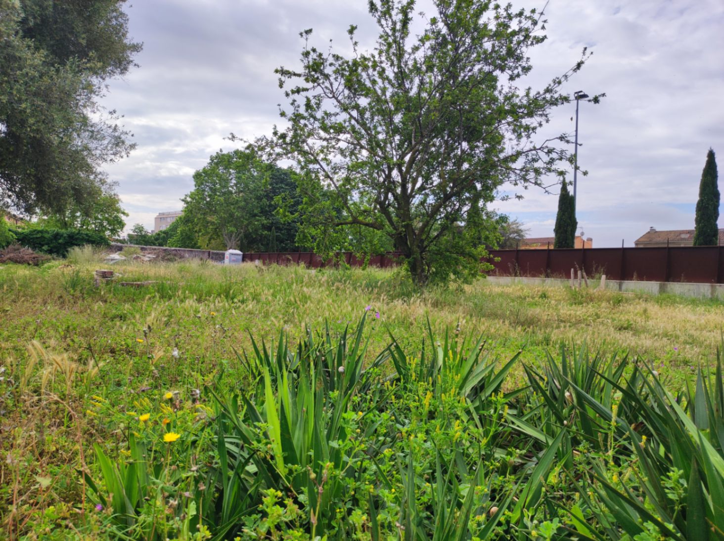 Terreno urbano en venta situado en el centro de Palafrugell, Girona, Baix Empordà