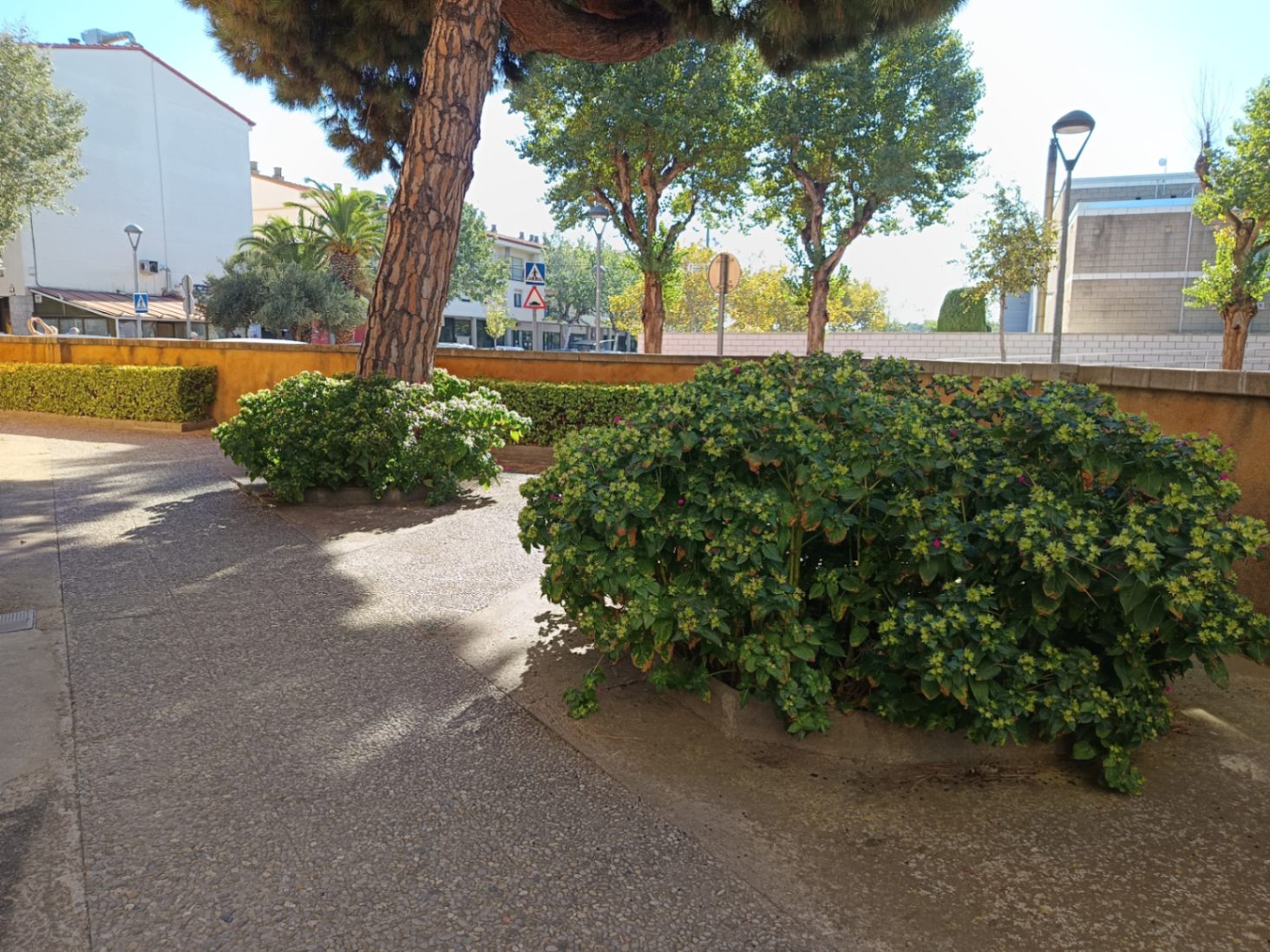 Piso en venta en Palafrugell