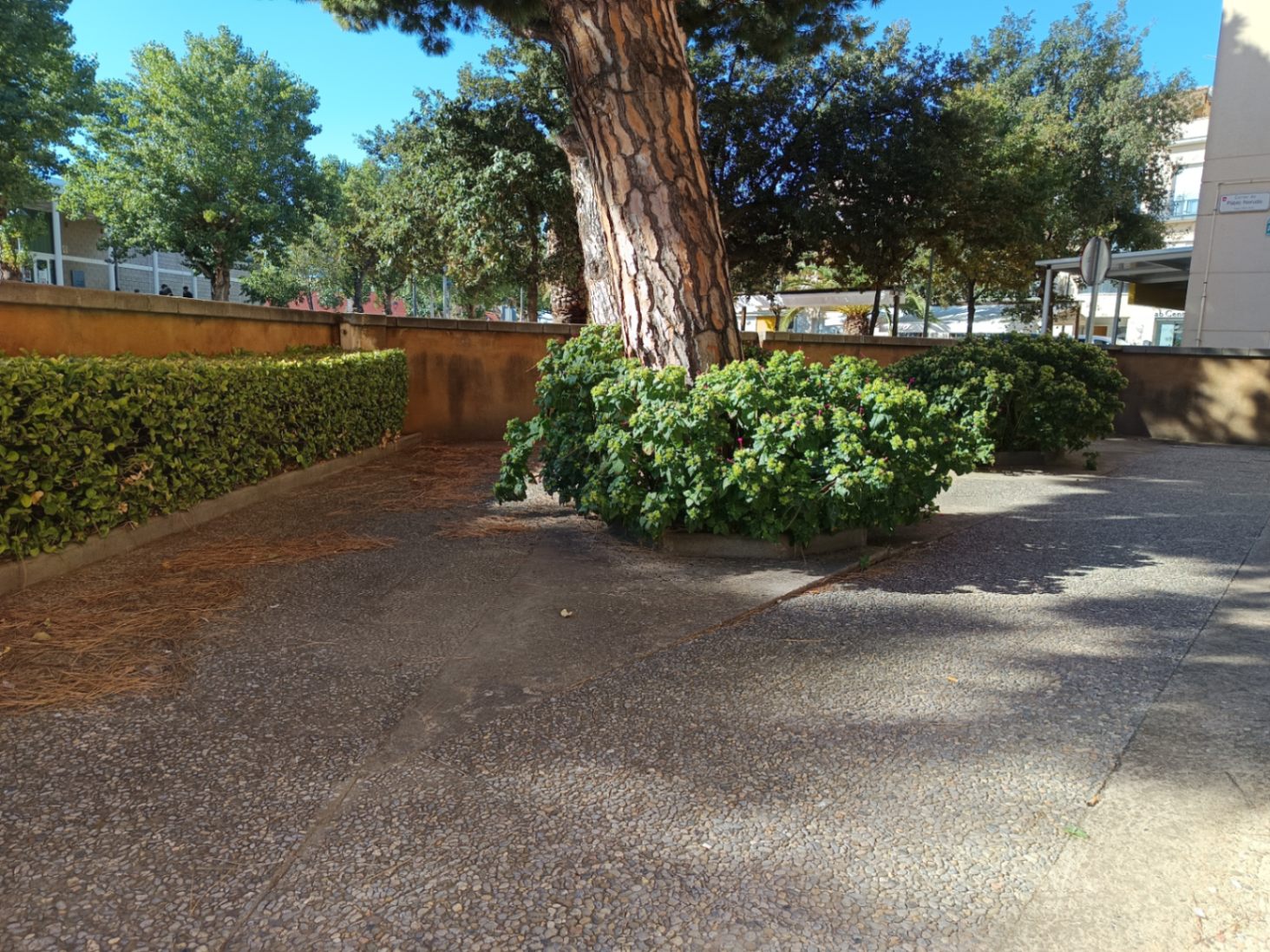 Piso en venta en Palafrugell