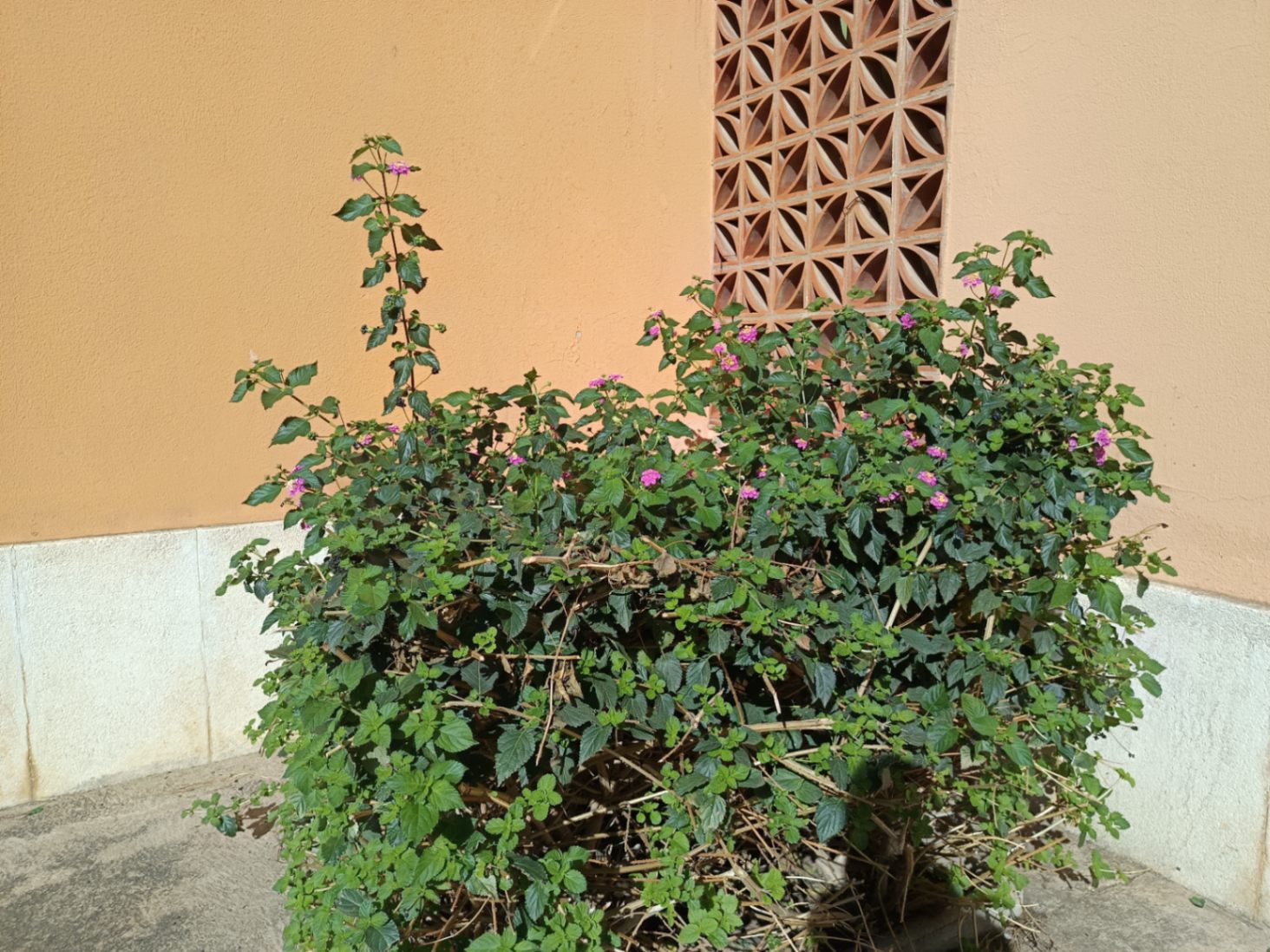 Piso en venta en Palafrugell