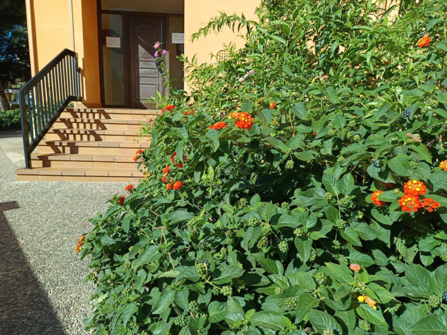 Piso en venta en Palafrugell