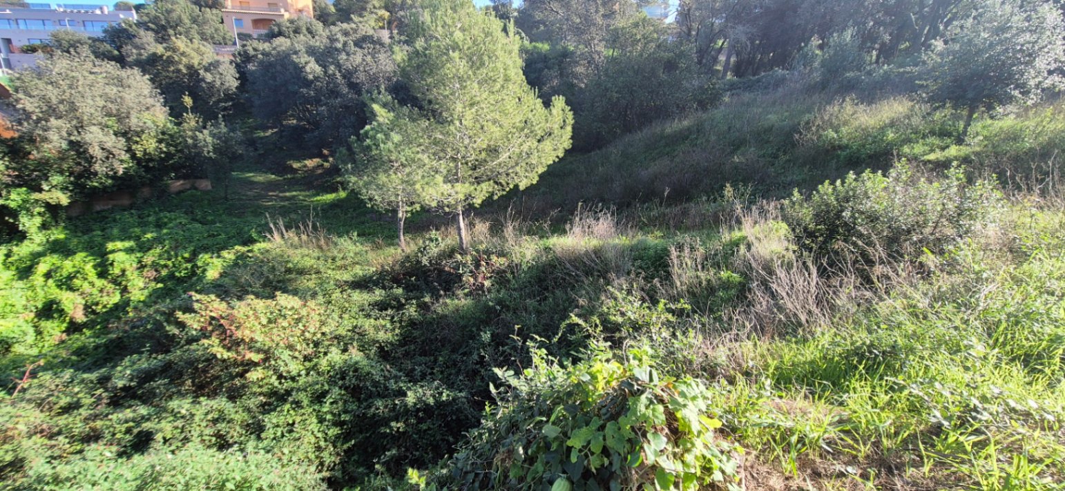 Terreno urbano situado en Residencial Begur, Girona, Costa Brava