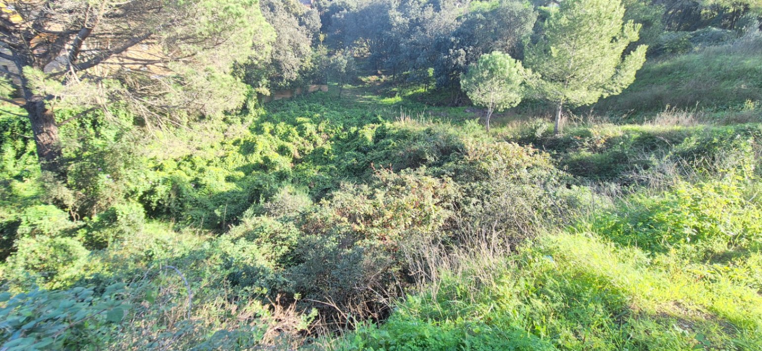 Terreno urbano situado en Residencial Begur, Girona, Costa Brava