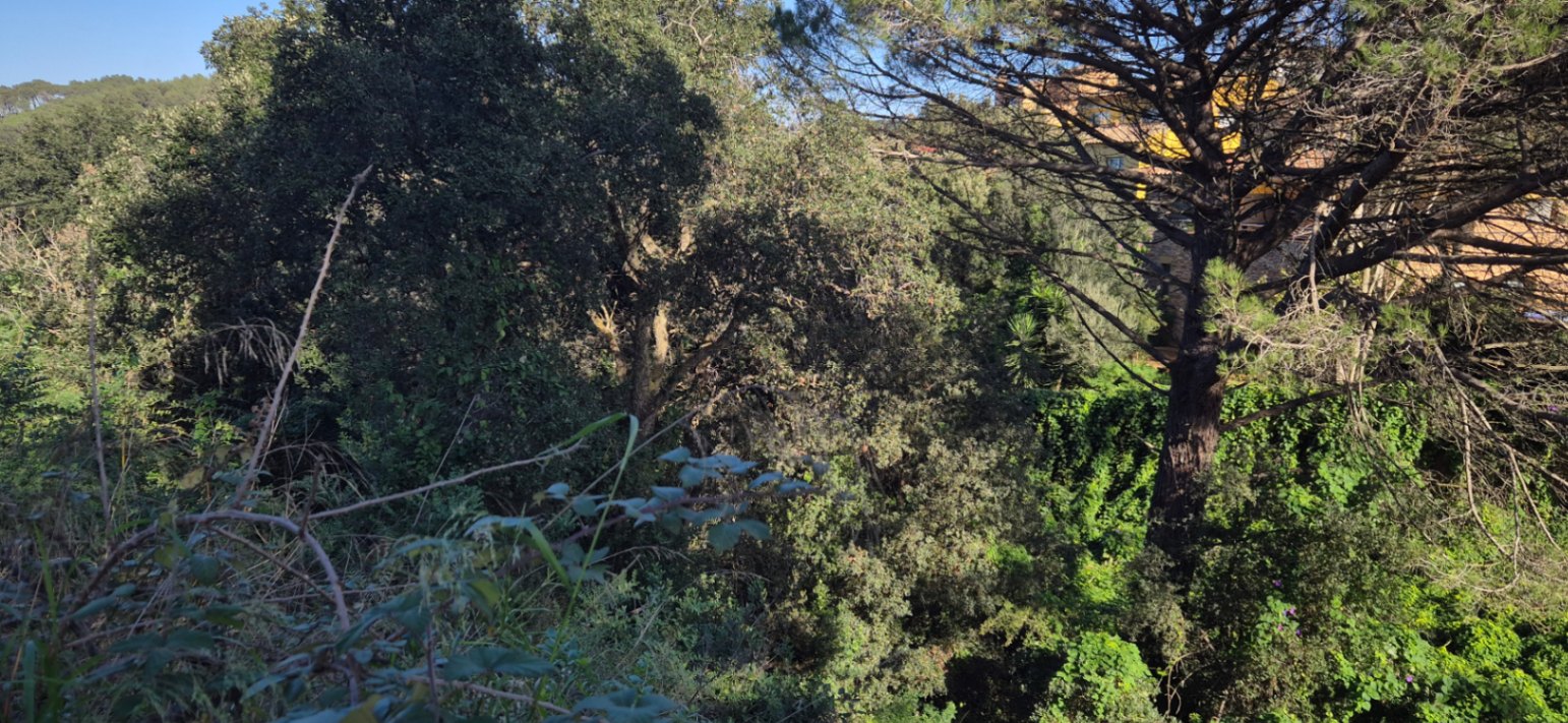 Terreno urbano situado en Residencial Begur, Girona, Costa Brava