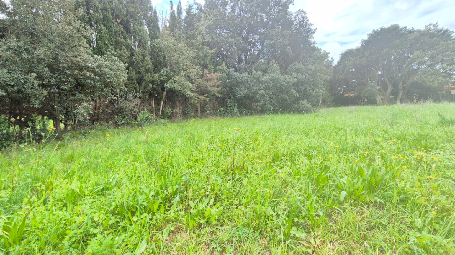 Solar urbano en venta situado en una exclusiva urbanización residencial de Mont-ràs, Girona, Baix Empordà